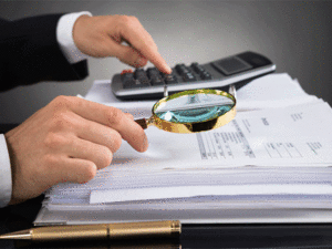 What are the objectives of a Tax Audit
